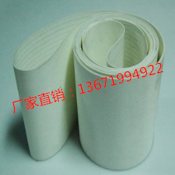 供應(yīng)食品包裝機(jī)械皮帶，食品輸送帶