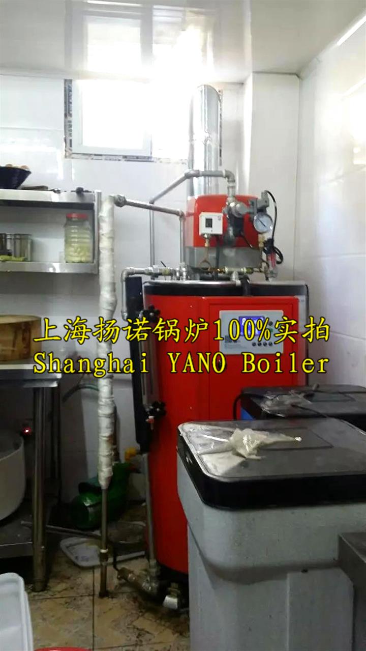 35kg、50kg蒸汽量燃油燃氣蒸汽發(fā)生器免辦鍋爐使用證