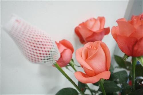 北京網(wǎng)套機(jī)網(wǎng)套機(jī)供應(yīng)西瓜網(wǎng)套機(jī)龍口云生包裝機(jī)械