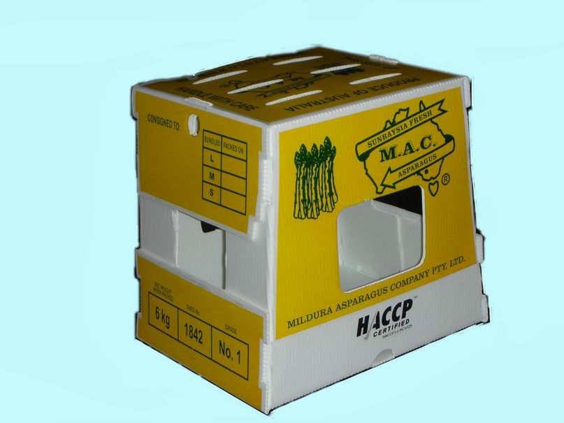供應蘆筍蔬菜包裝箱