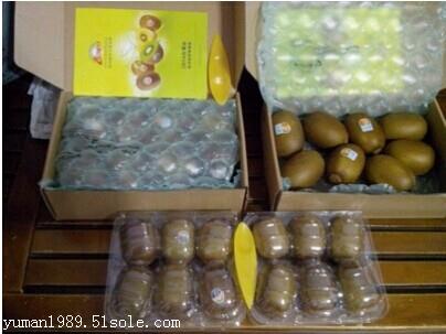 潮州節約成本包裝方案氣墊膜首選WELTA