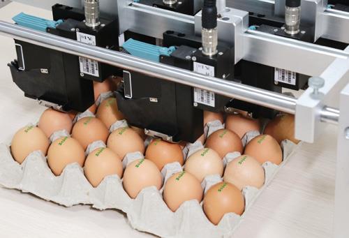 漳州雞蛋噴碼機*雞蛋噴碼機廠家-雞蛋噴碼機價格/欣旺捷公司