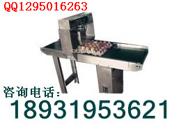 雞蛋噴碼機，整盤雞蛋噴碼機，高解析噴碼機