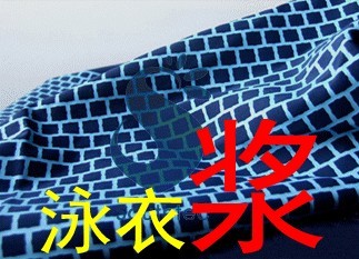 【廠價直銷】☆★天助TZ-♂★?游泳衣尼龍透明漿