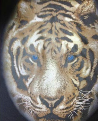 西安印花材料批發,認準宏奧印花材料廠家