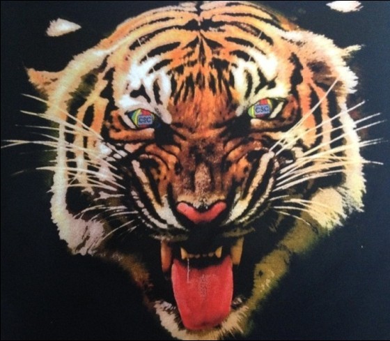 供應東莞服裝印花材料,推薦宏奧印花材料廠家