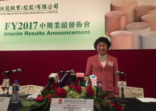 玖龍紙業(yè) 業(yè)績報(bào)告