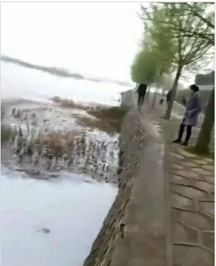 仙鶴特種漿紙有限公司發(fā)生化學(xué)品泄漏，紙業(yè)新聞，紙引未來(lái)