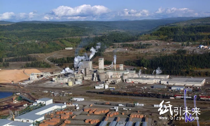 全球紙漿市場又一重磅收購完成，沒有中國企業參與，卻將影響中國市場