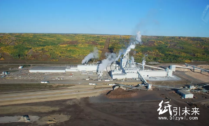 全球紙漿市場又一重磅收購完成，沒有中國企業參與，卻將影響中國市場