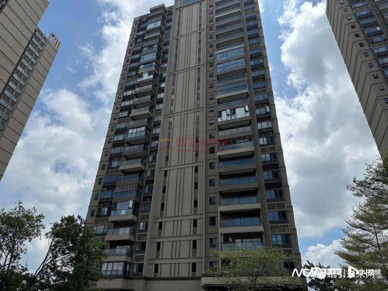 東莞一紙廠復產后,頻頻散發刺鼻異味,環保部門介入3