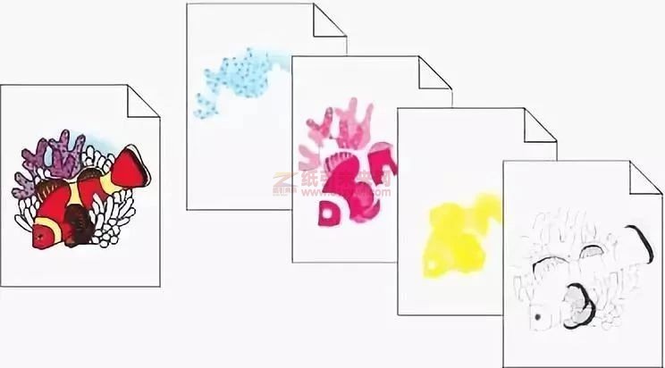 四色印刷和專色印刷有什么區別？什么時候該用專色印刷？1